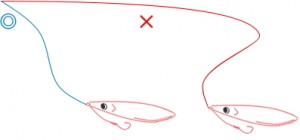 糸フケのイメージ図